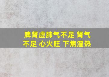 脾肾虚肺气不足 肾气不足 心火旺 下焦湿热